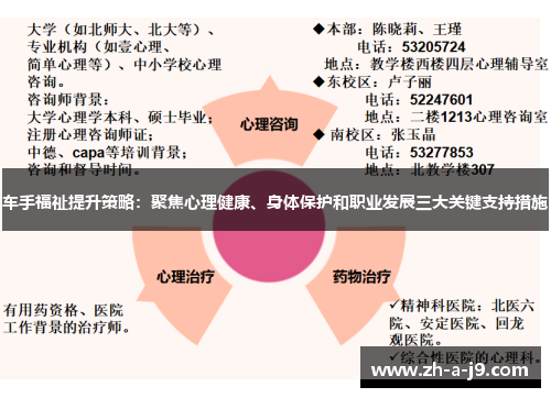 车手福祉提升策略：聚焦心理健康、身体保护和职业发展三大关键支持措施